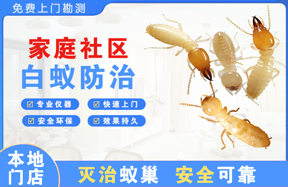 九江家庭社区白蚁防治