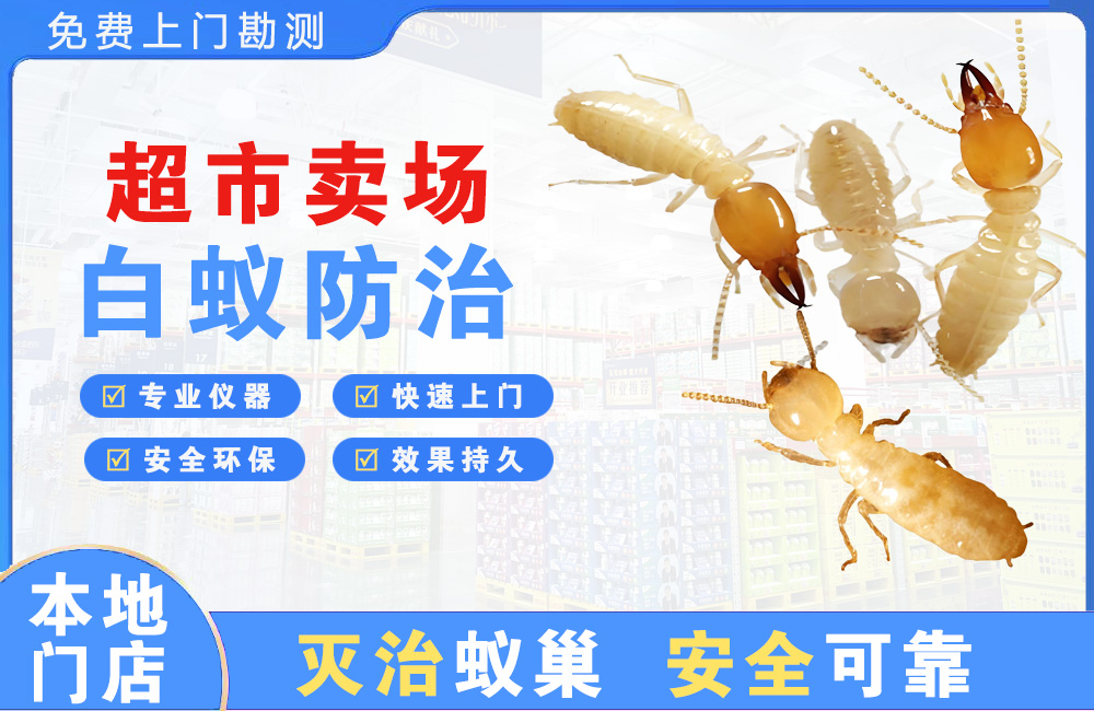 九江超市卖场白蚁防治