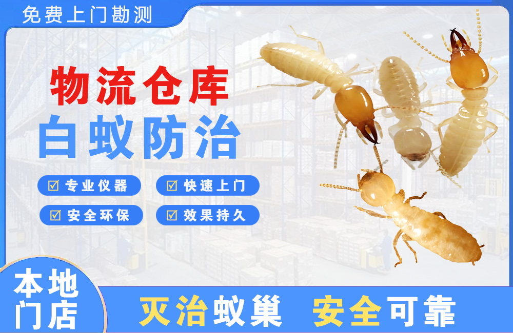九江物流仓库白蚁防治