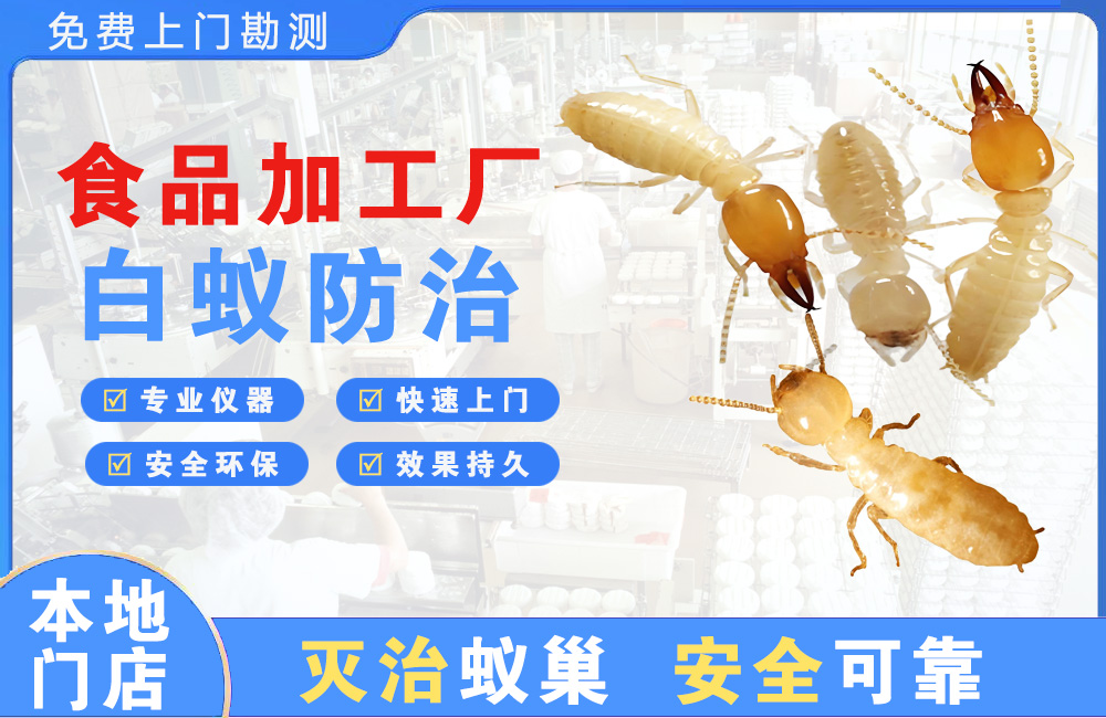 九江食品加工厂白蚁防治
