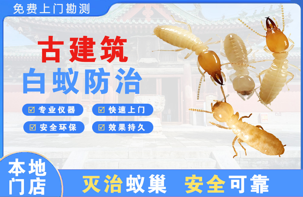 九江古建筑白蚁防治