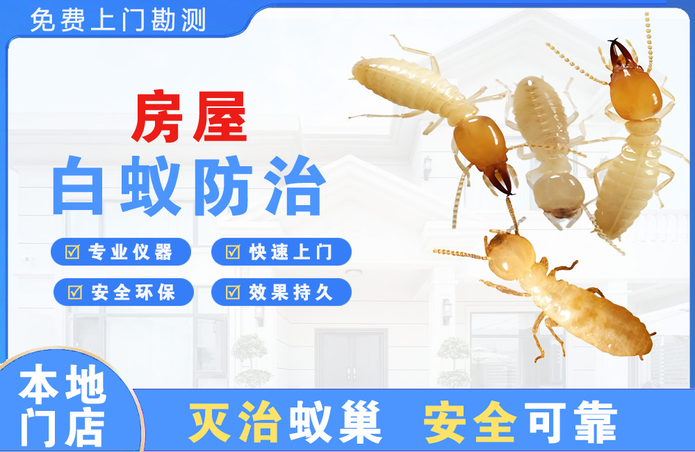 九江房屋白蚁防治