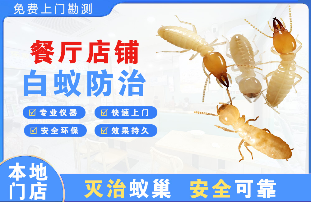 九江餐厅店铺白蚁防治